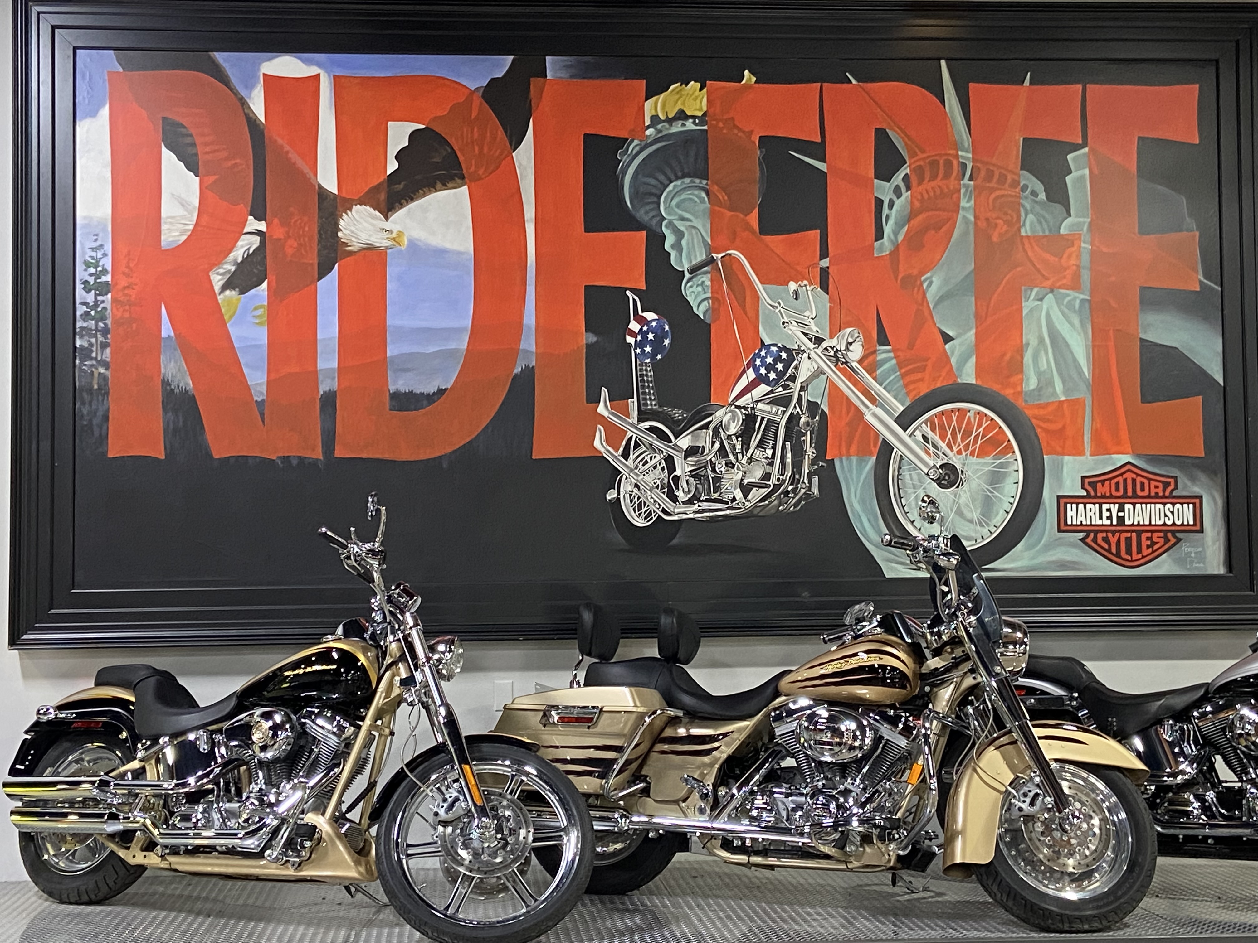Teddy Morse's Daytona Harley-Davidson | Ormond Beach, FL 32174