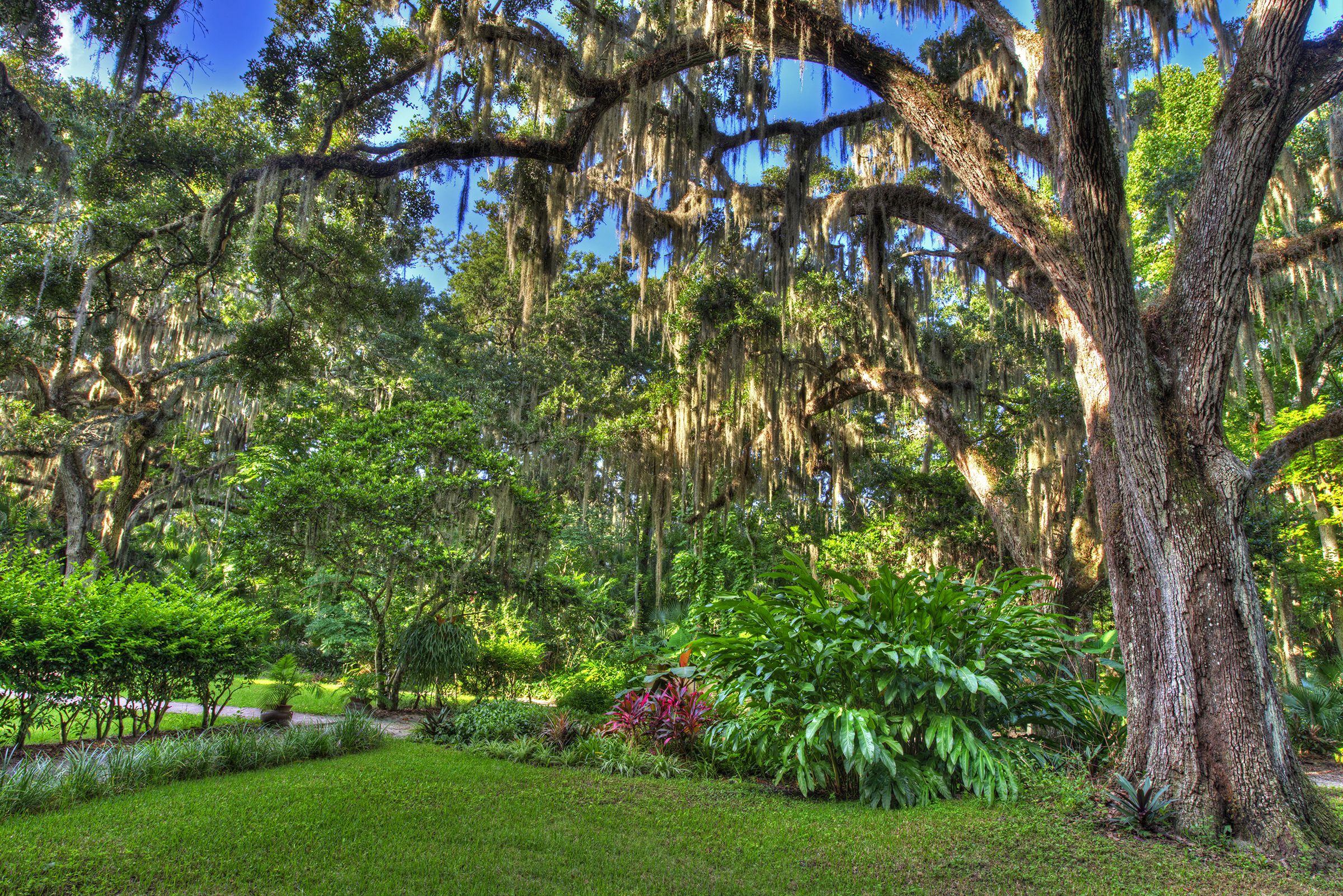 Dunlawton Sugar Mill Gardens Port Orange Fl: Hidden Paradise