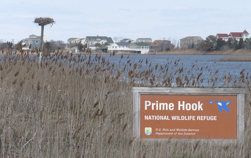 Prime Hook National Wildlife Refuge Prime Hook National Wildlife Refuge