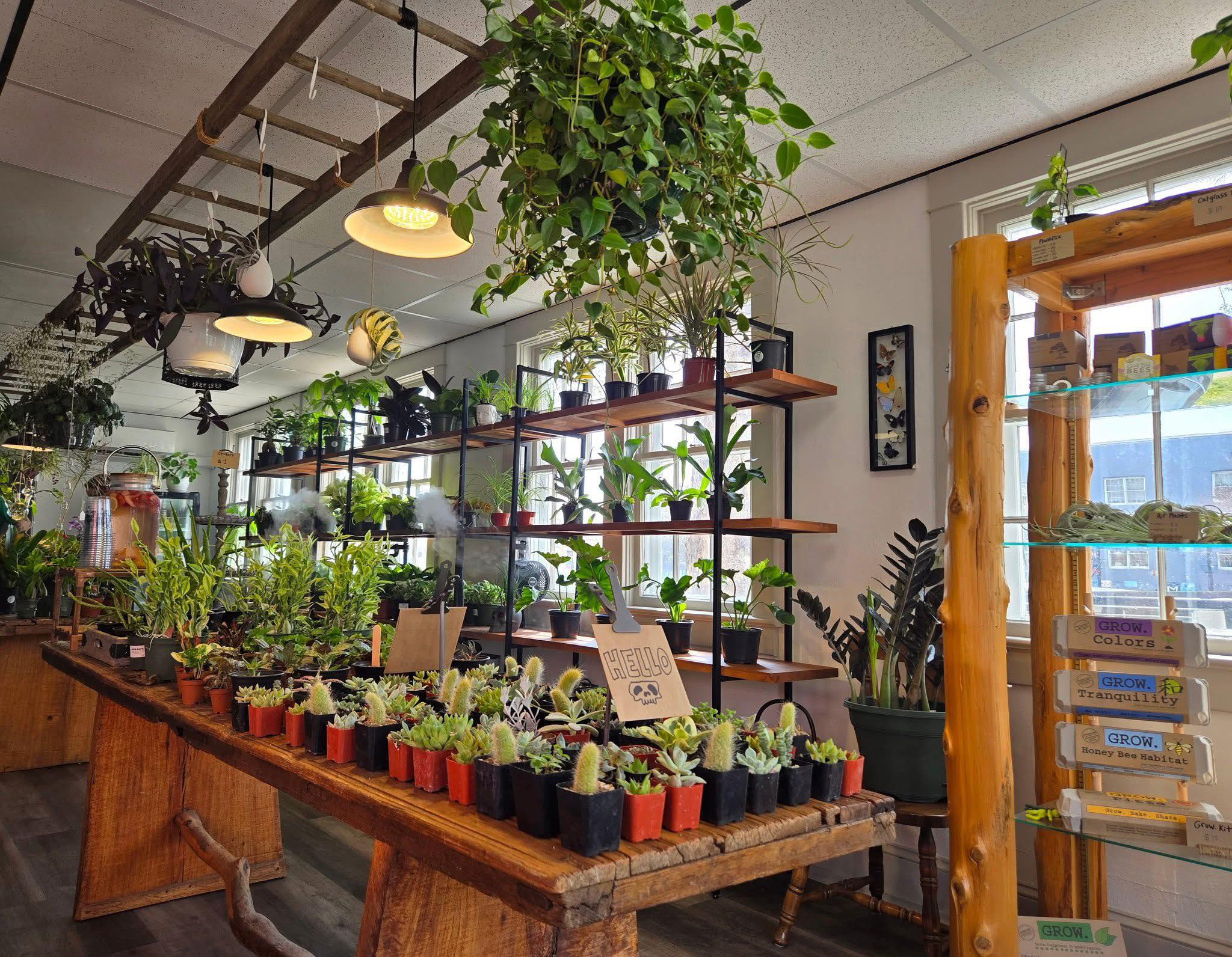 Overgrown Plant Market and Workshop