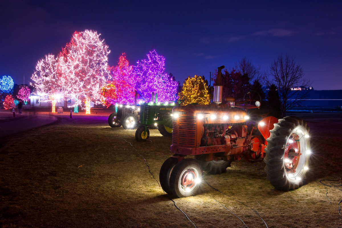 are dogs allowed at the trail of lights