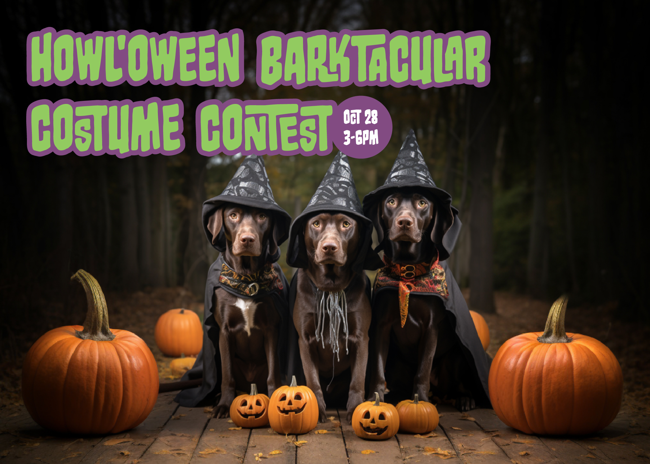 Fourth Annual Howl-O-Ween Pet Costume Contest Set for Fun for Four