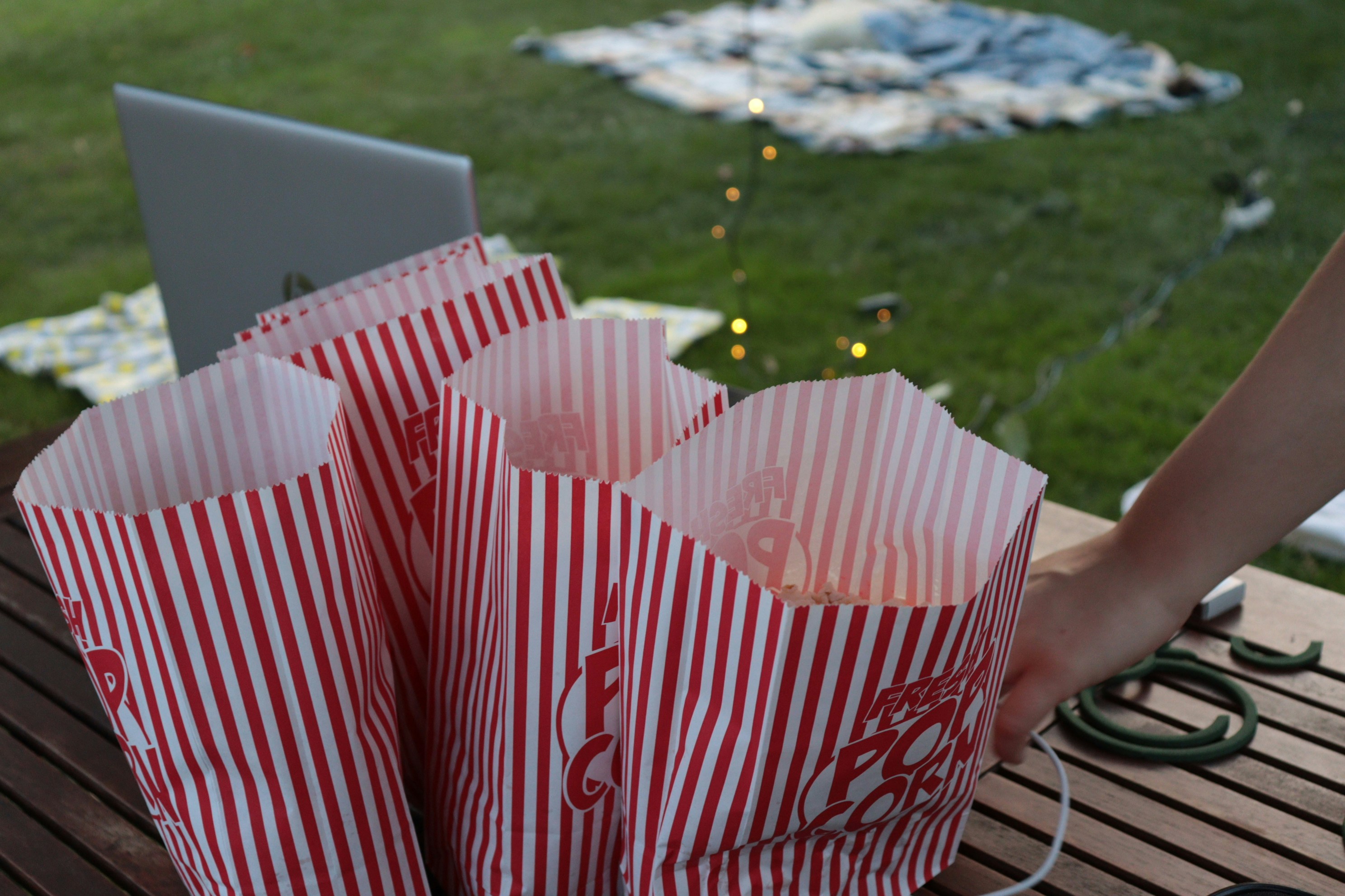 EPRD Buchanan Park Family Movie Nights