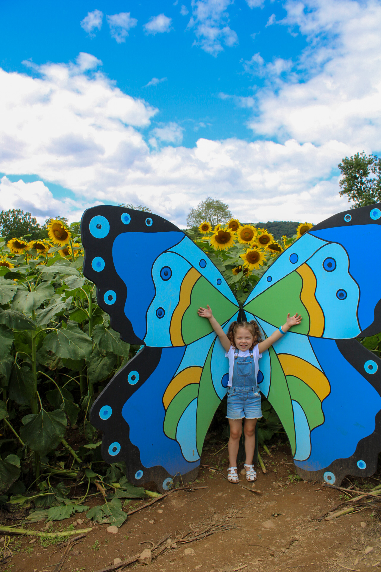 The New Jersey Sunflower Trail