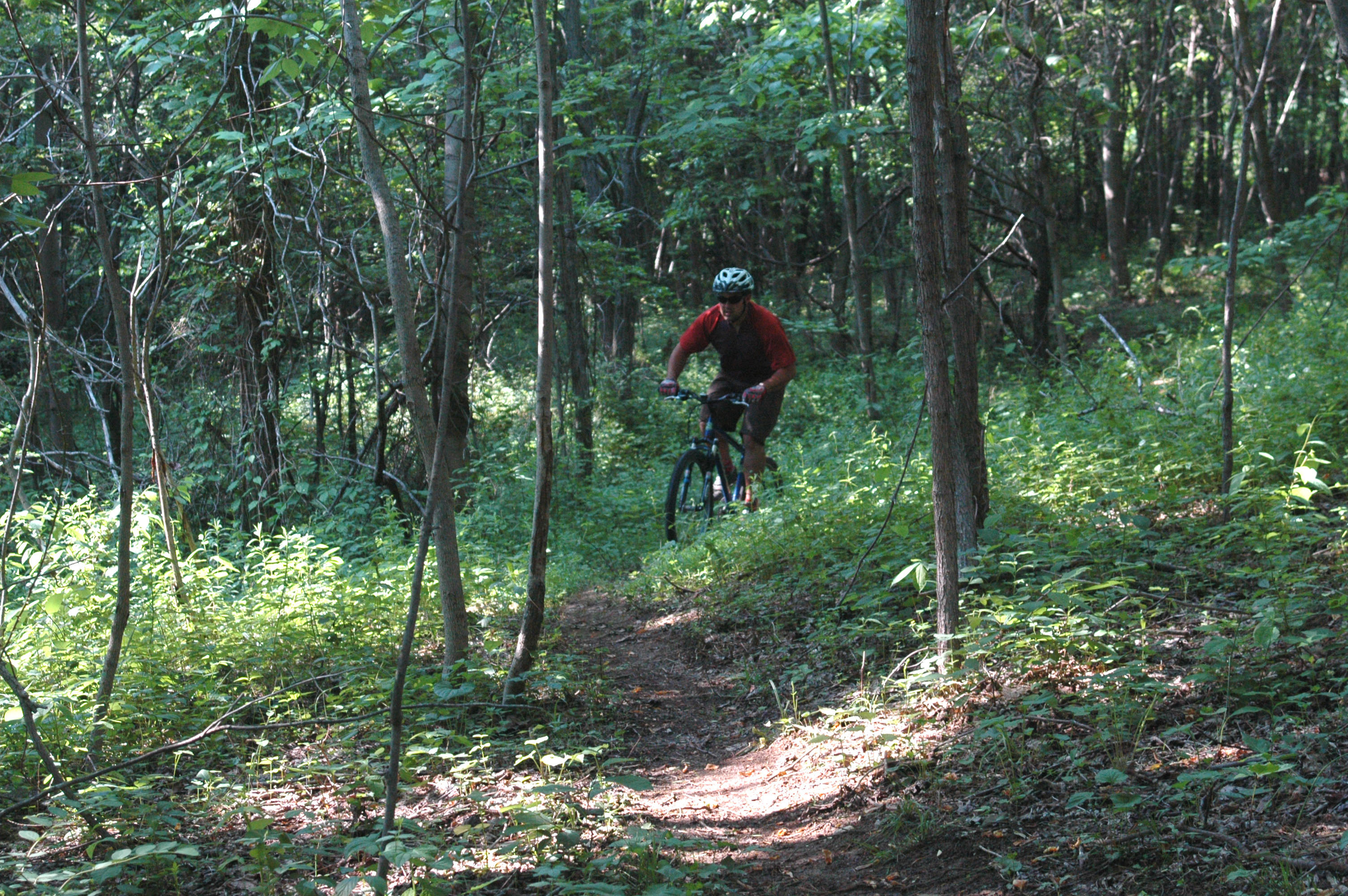 bear creek mountain bike race