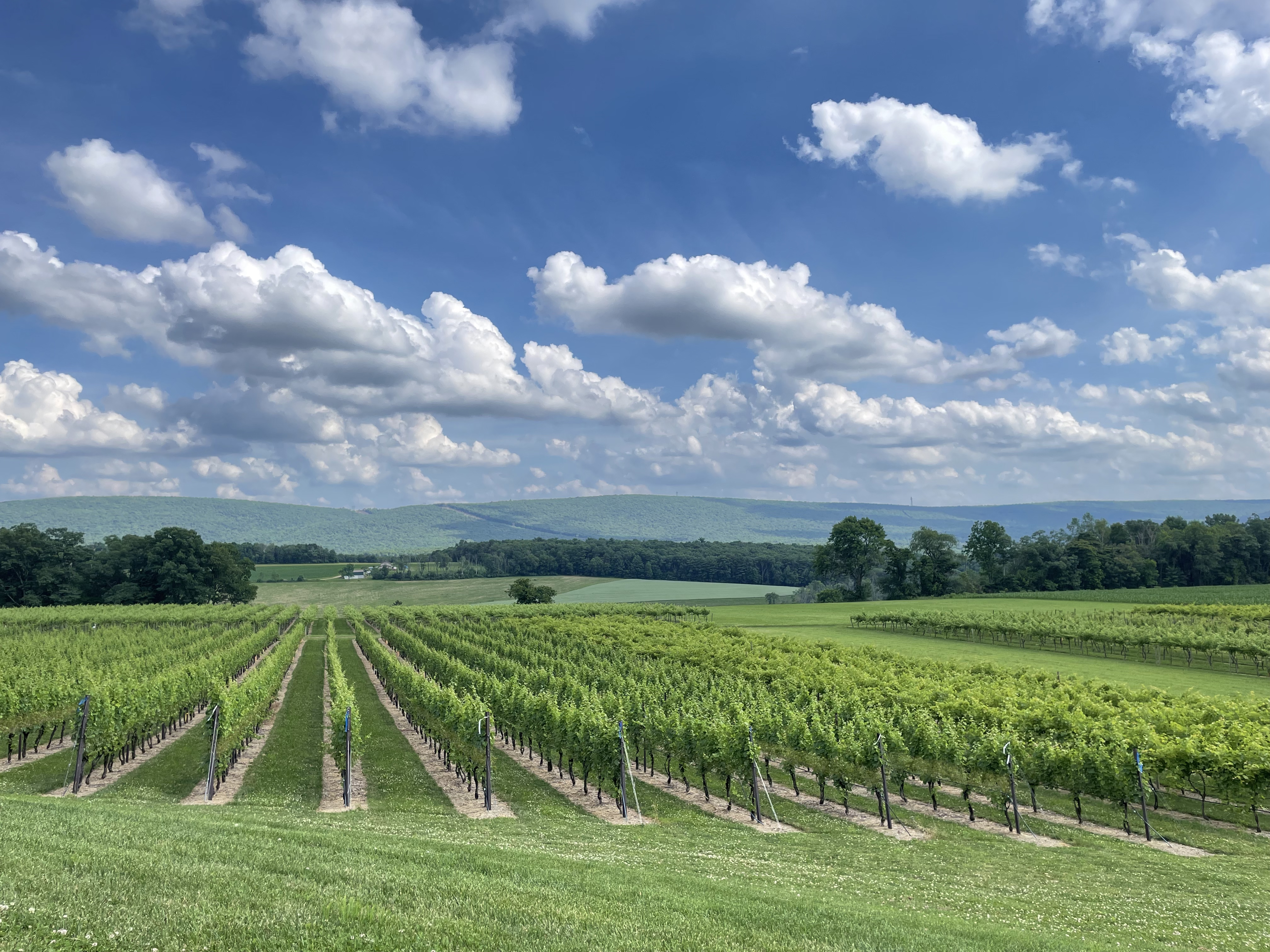 western lehigh landscape