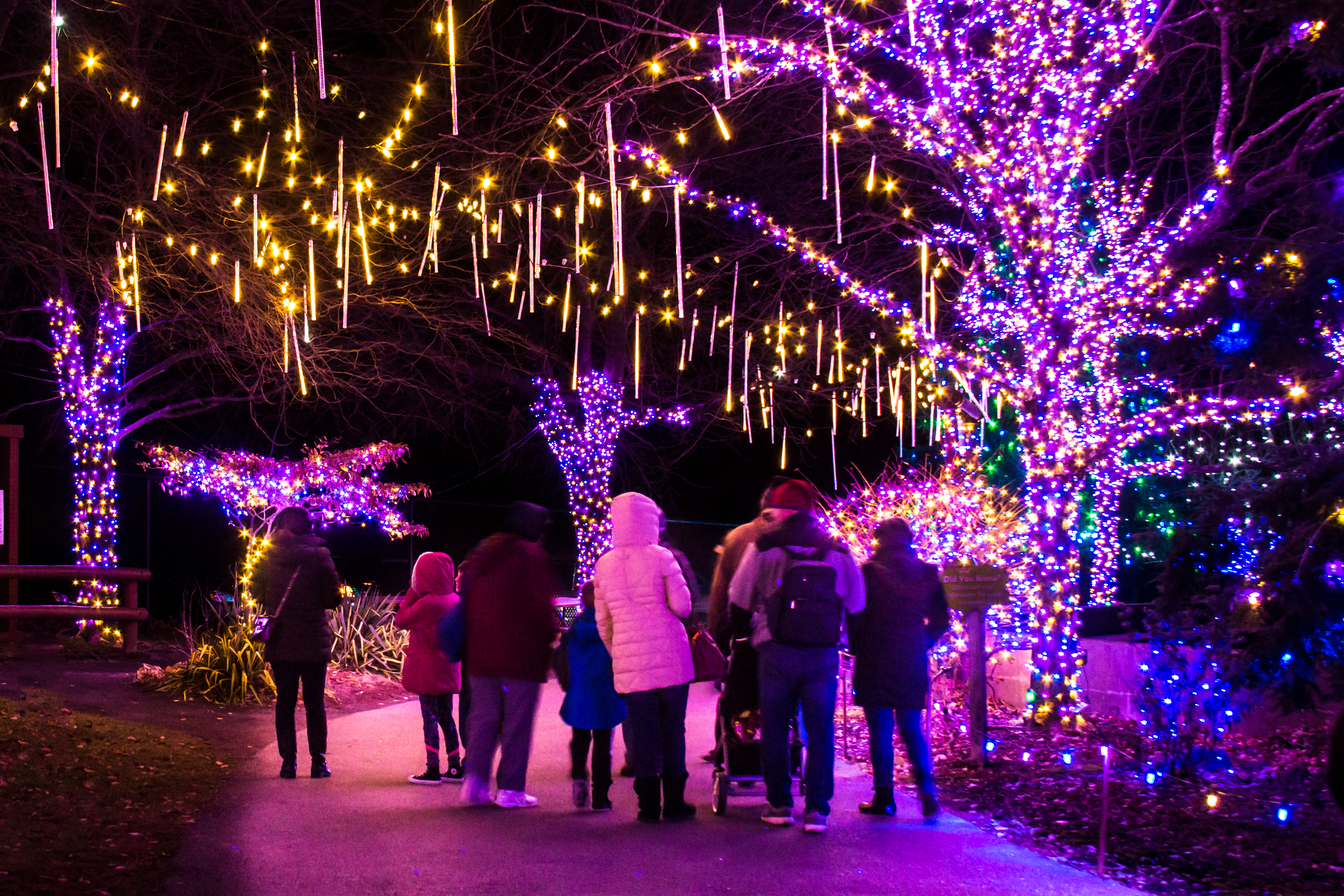 Lehigh Valley Christmas Events 2020 | Best New 2020