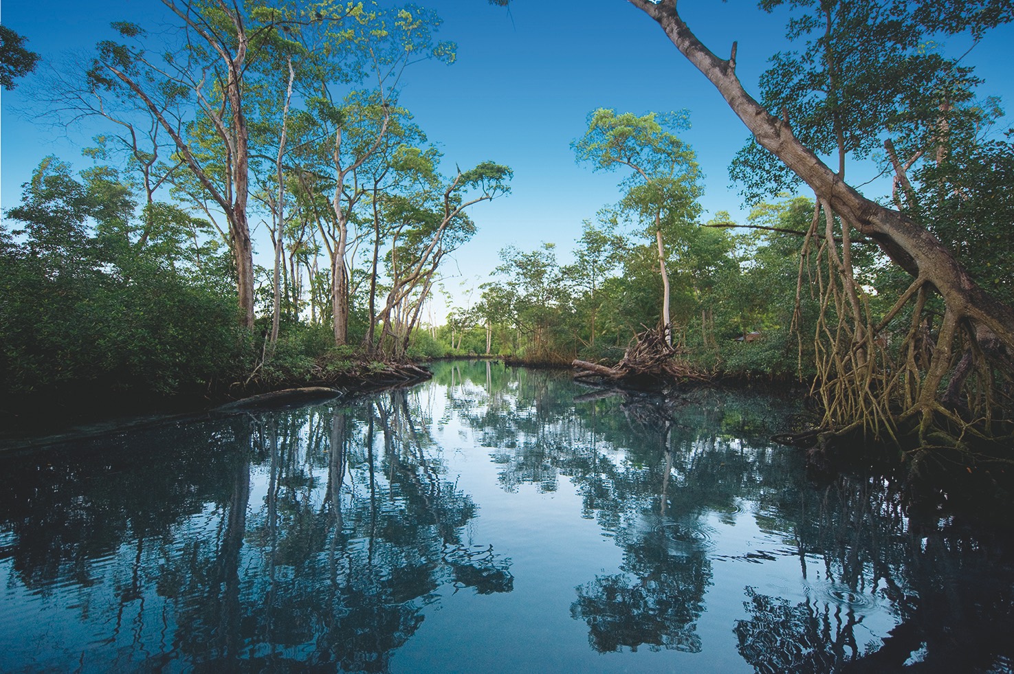 Laguna Gri-Gri