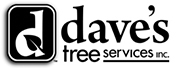 Dave’s Tree Service