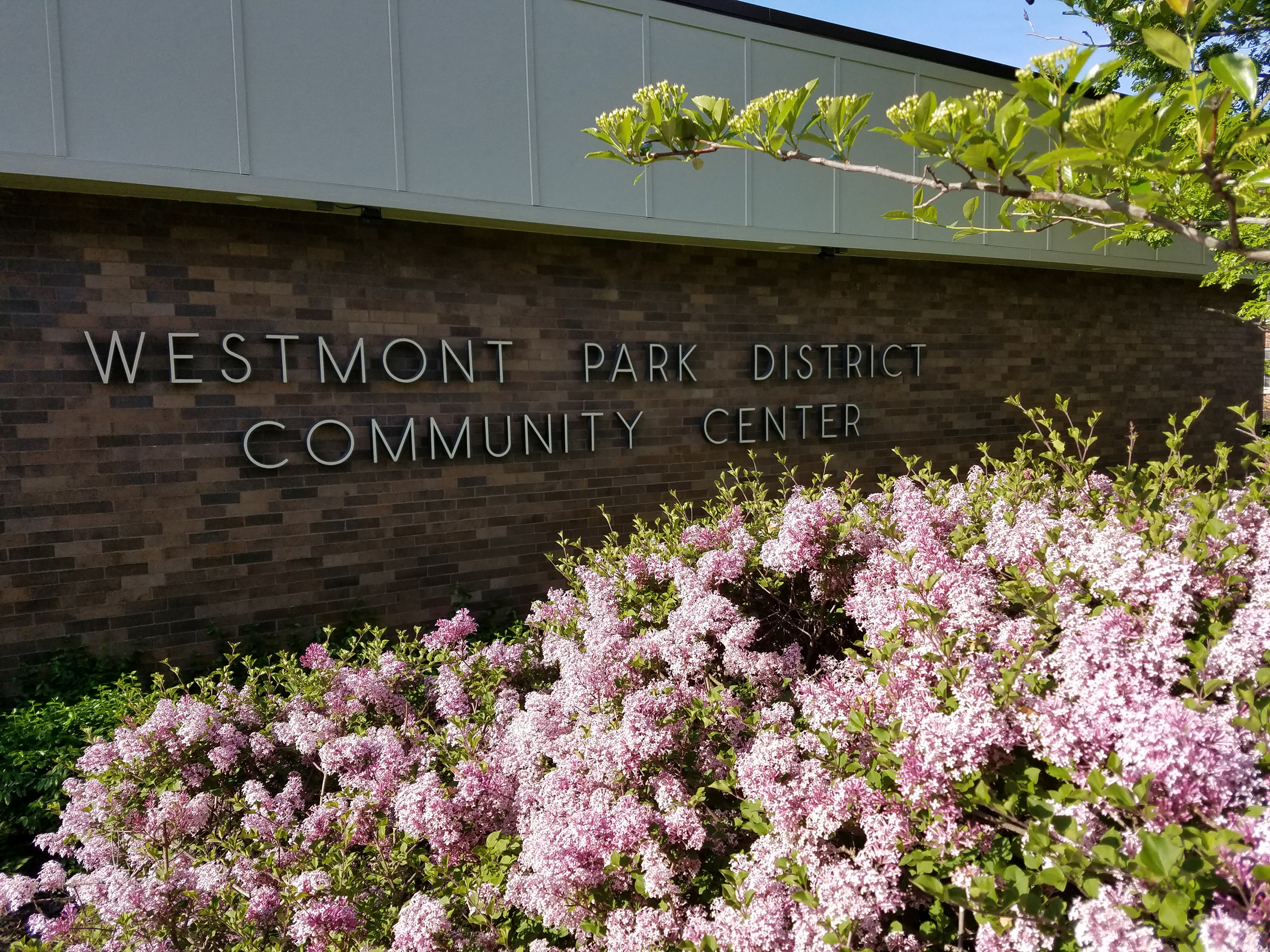 Information - Westmont Park District