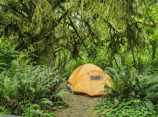 montis zelte HQ Igloo, Travel Trekking Tent, 210x210 – 3.8kg – SALE PRICE. Sports & Outdoors lightweight Fabric:MEMBRANE Silpoly Hilleberg Tarp10 Hilleberg Tarp
