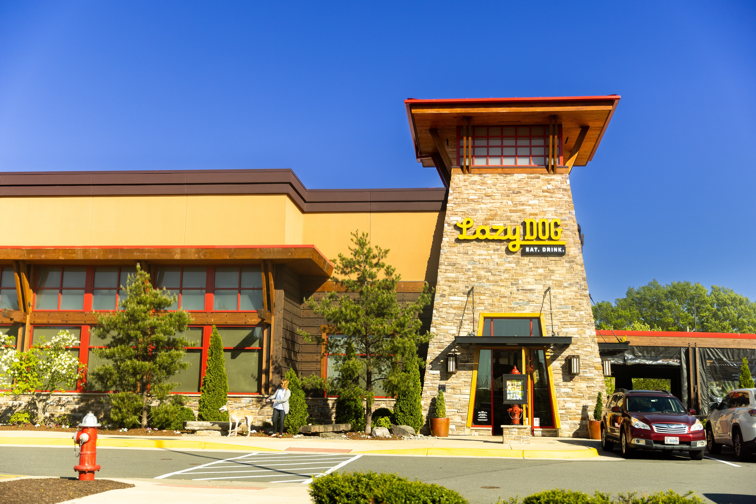 Lazy Dog Restaurant & Bar - Chantilly