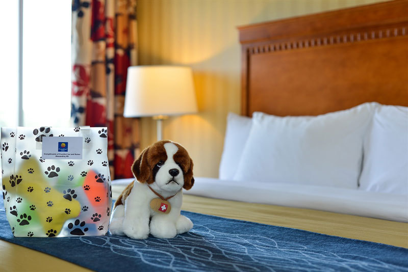 Comfort Inn Suites Alexandria