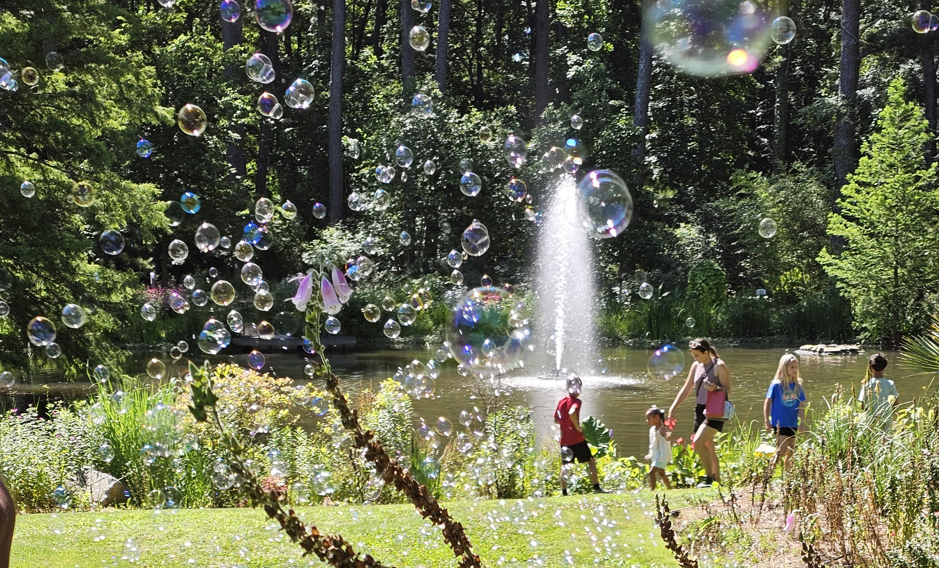 Pondamania Family Art & Play Day