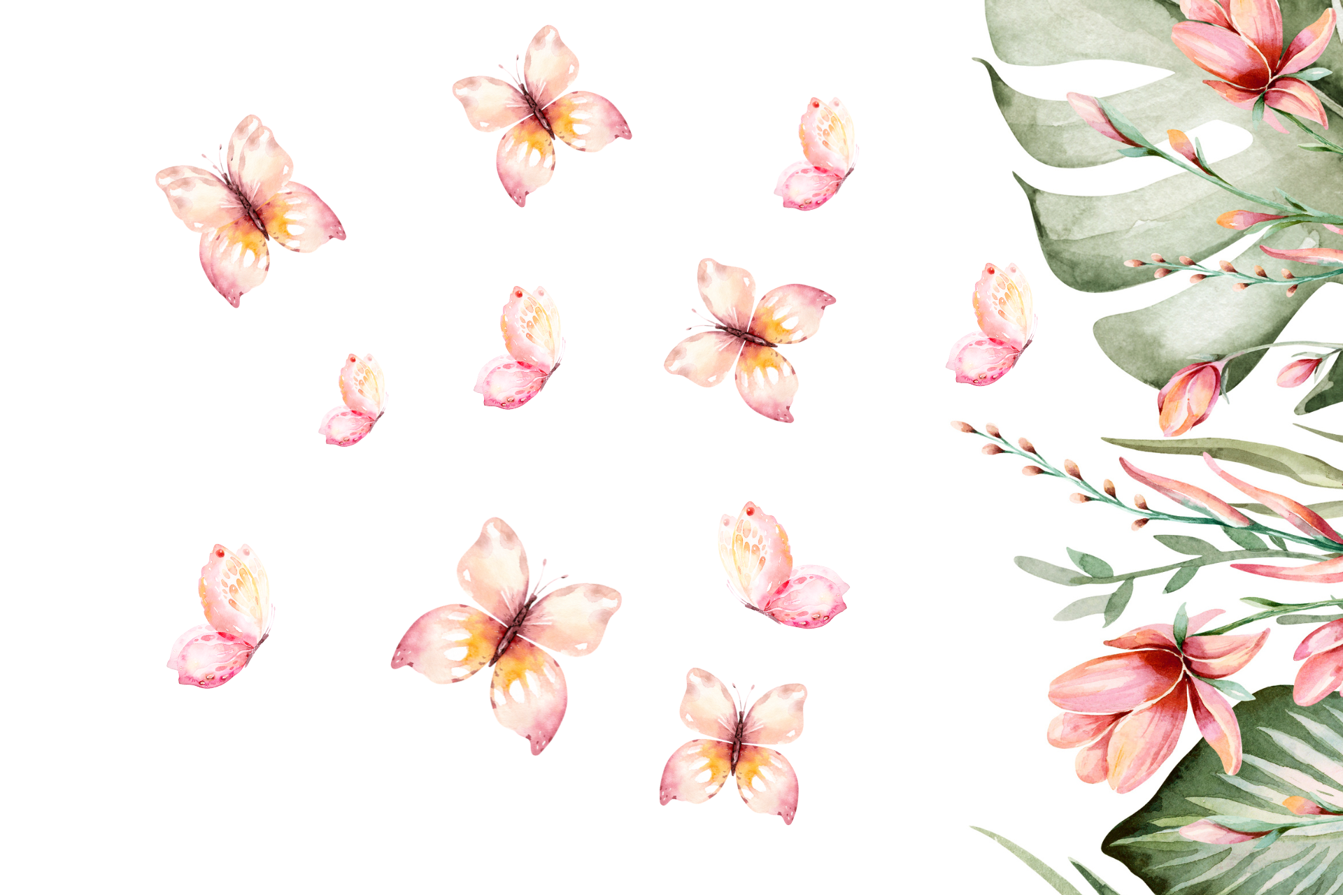 Butterfly Gardening