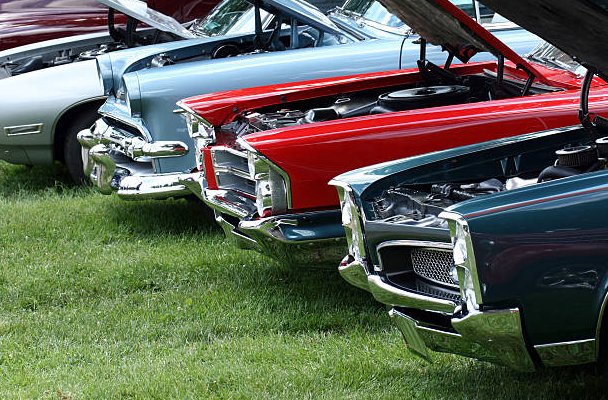 Cruise-In at Paradise Acres