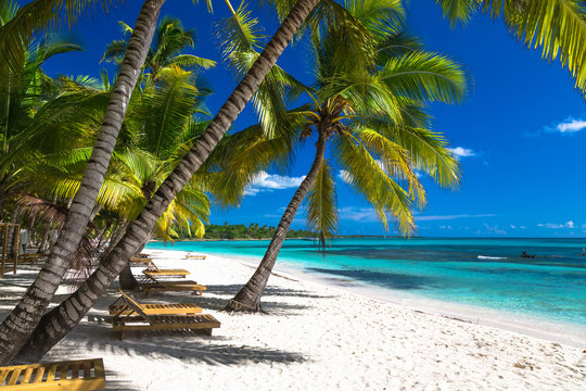 Caribbean Night