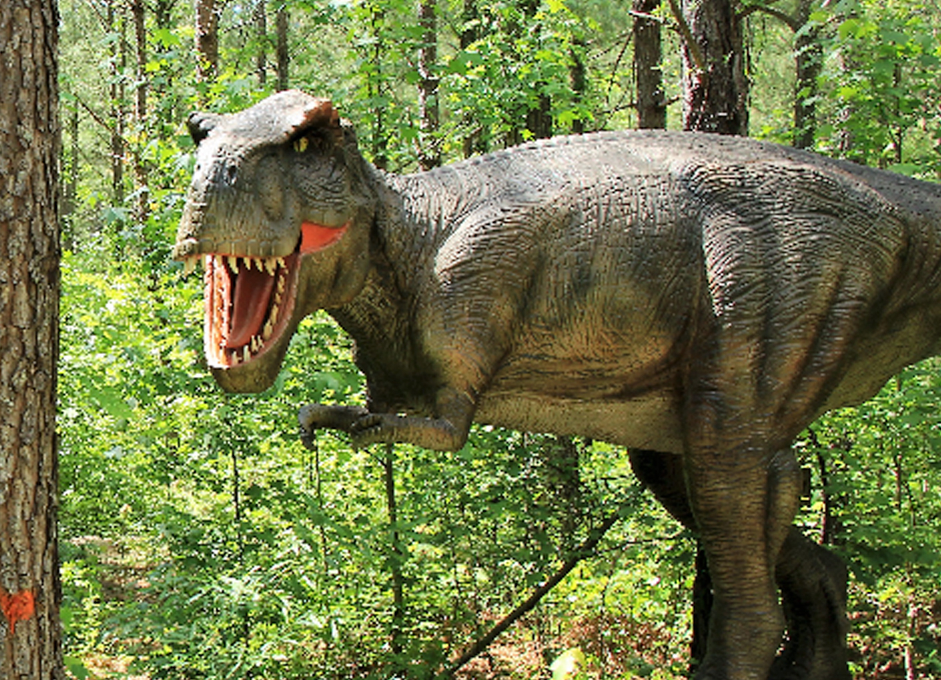 Sweet Valley Ranch's Dinosaur World