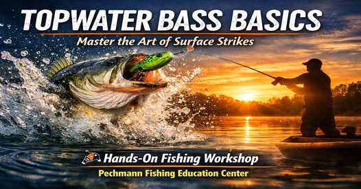 Topwater Bass Basics