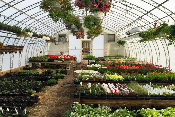 Chamberlain Acres Garden Center & Florist