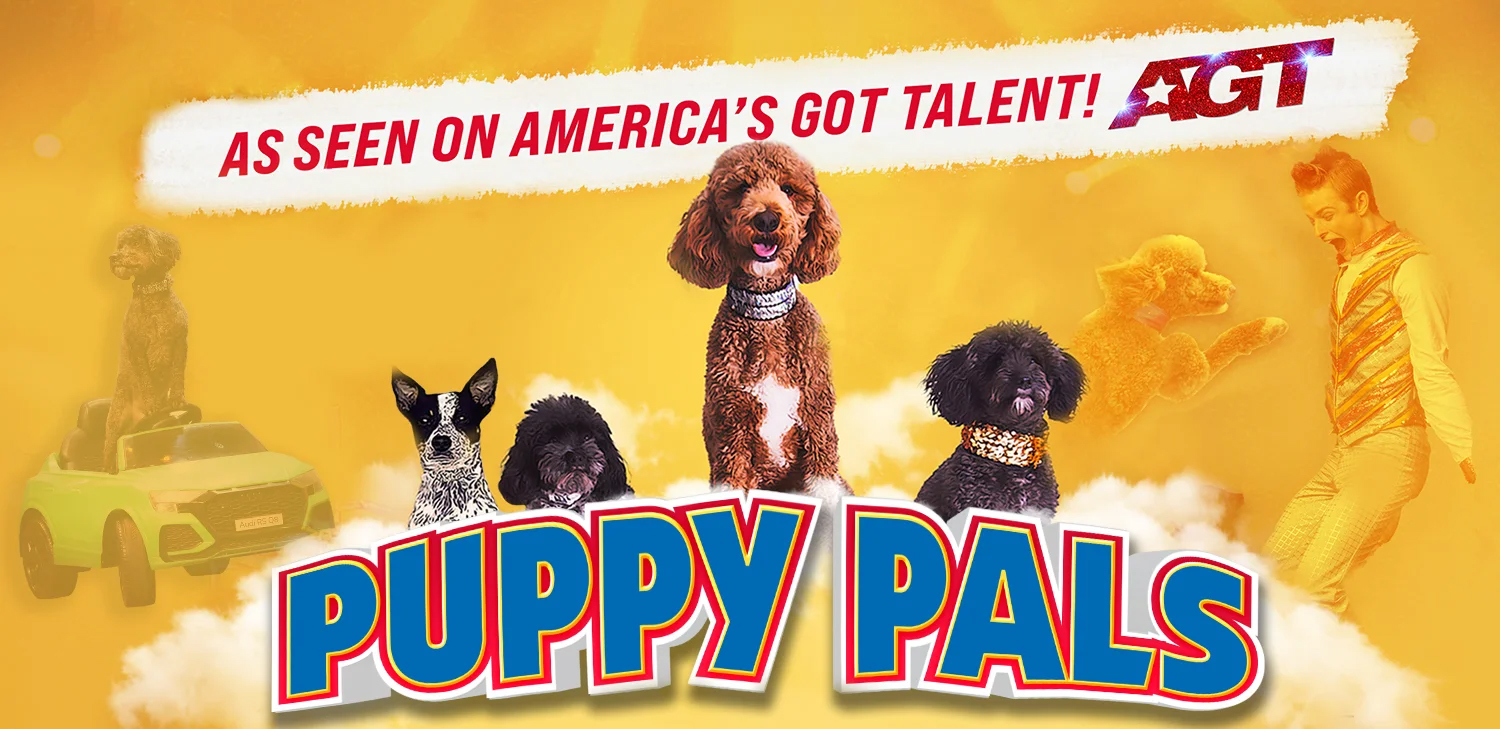 Pups In The Park – Curly W Live