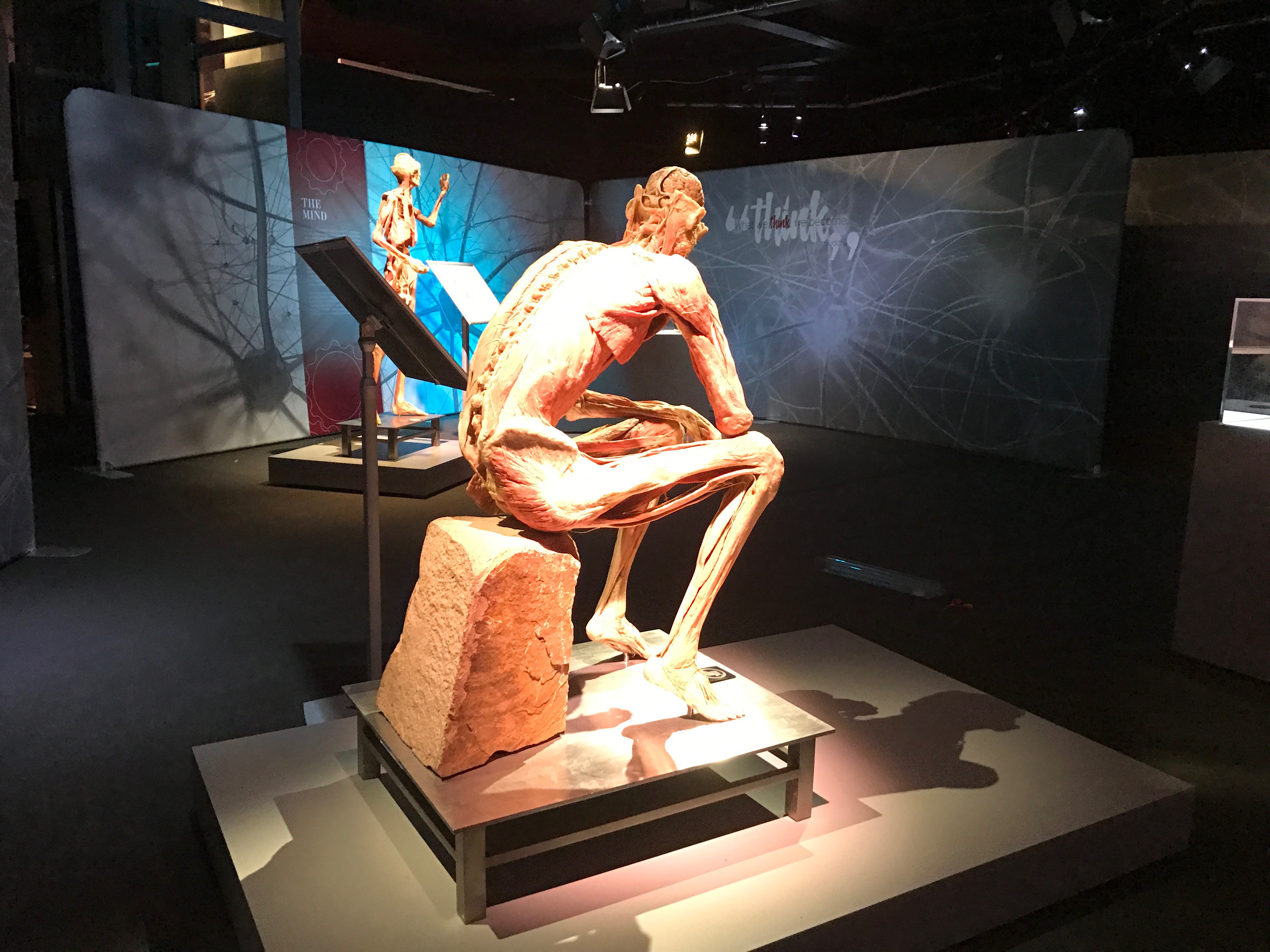 Real Human Body Sculpture