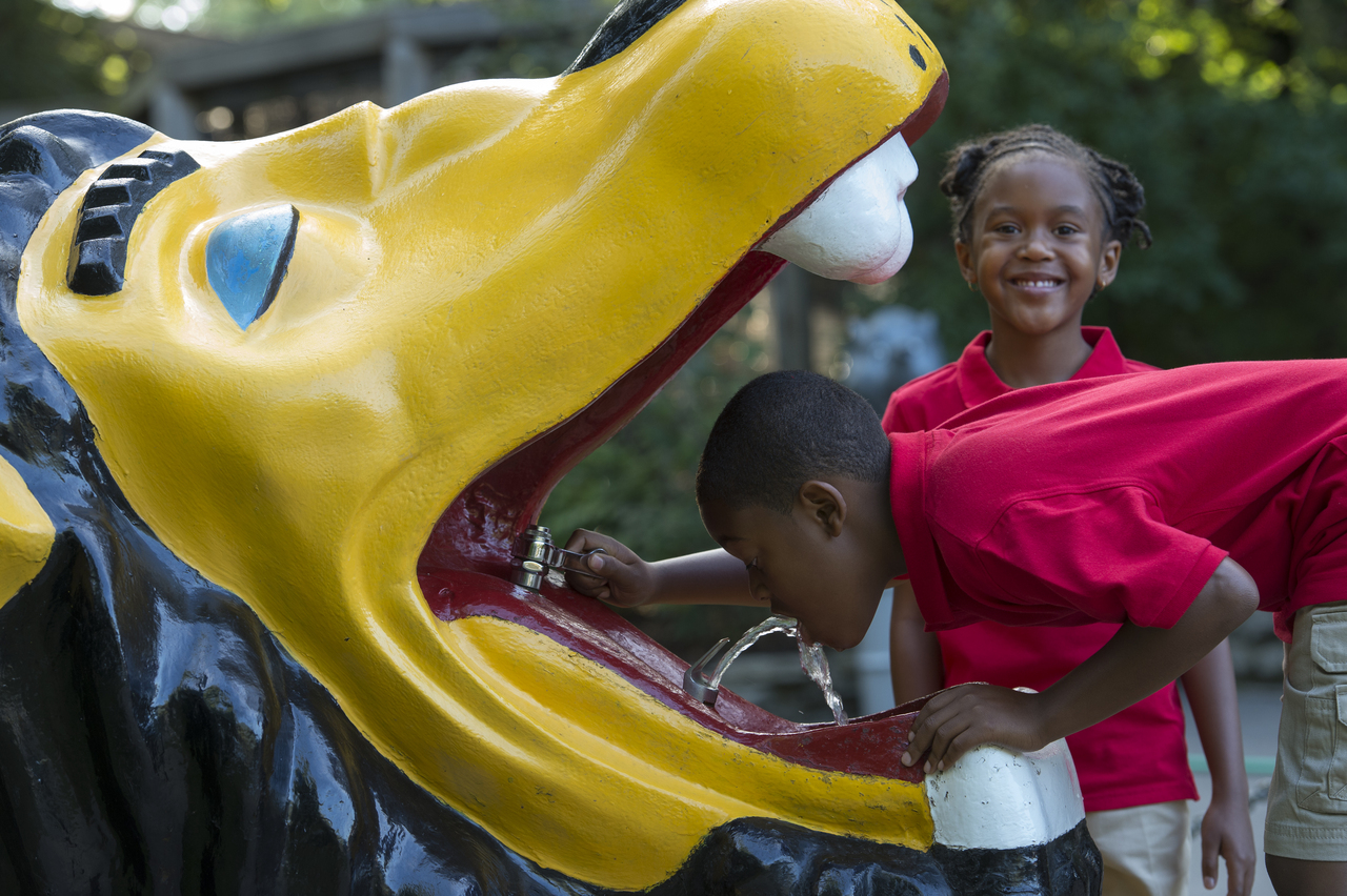 Dino Day Camp at the Fort Wayne Children's Zoo