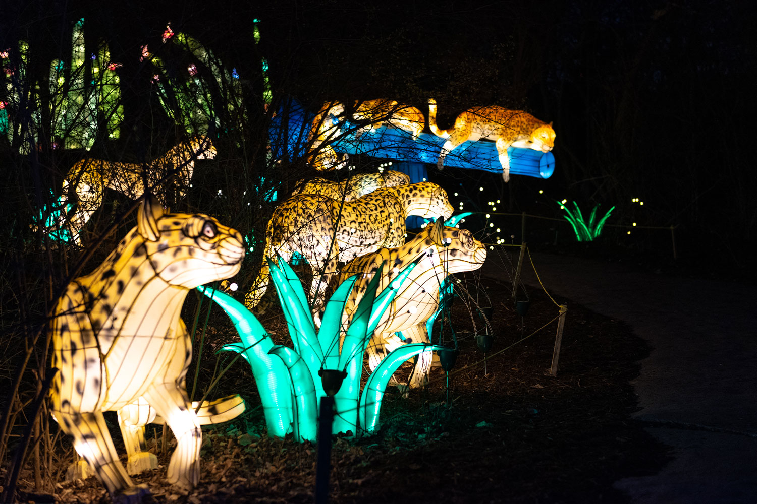 Glo Wild at the Fort Wayne Zoo