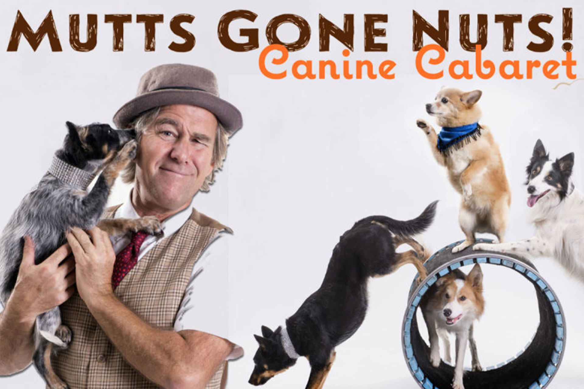 Mutts gone hot sale nuts