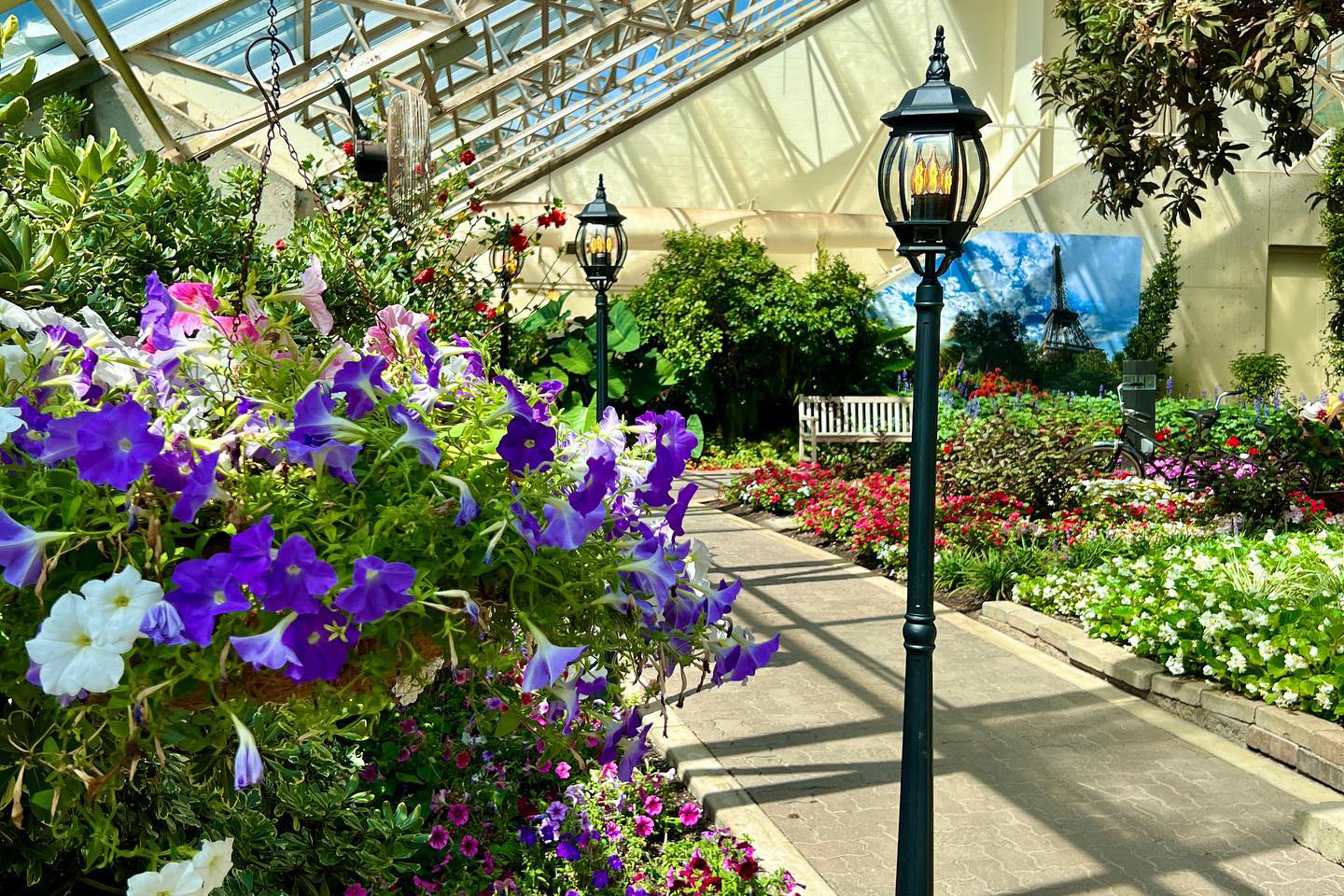 Foellinger-Freimann Botanical Conservatory