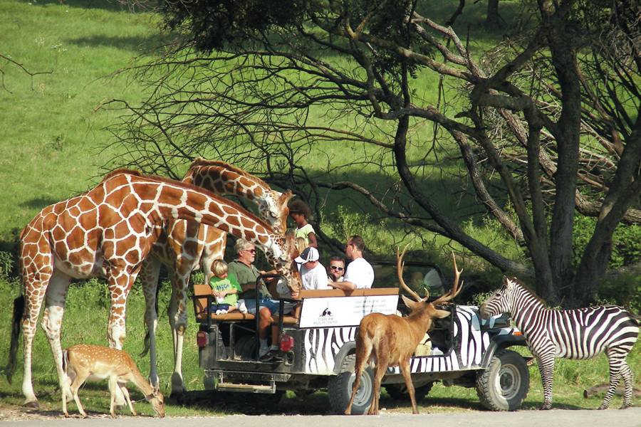 Fossil Rim Logo