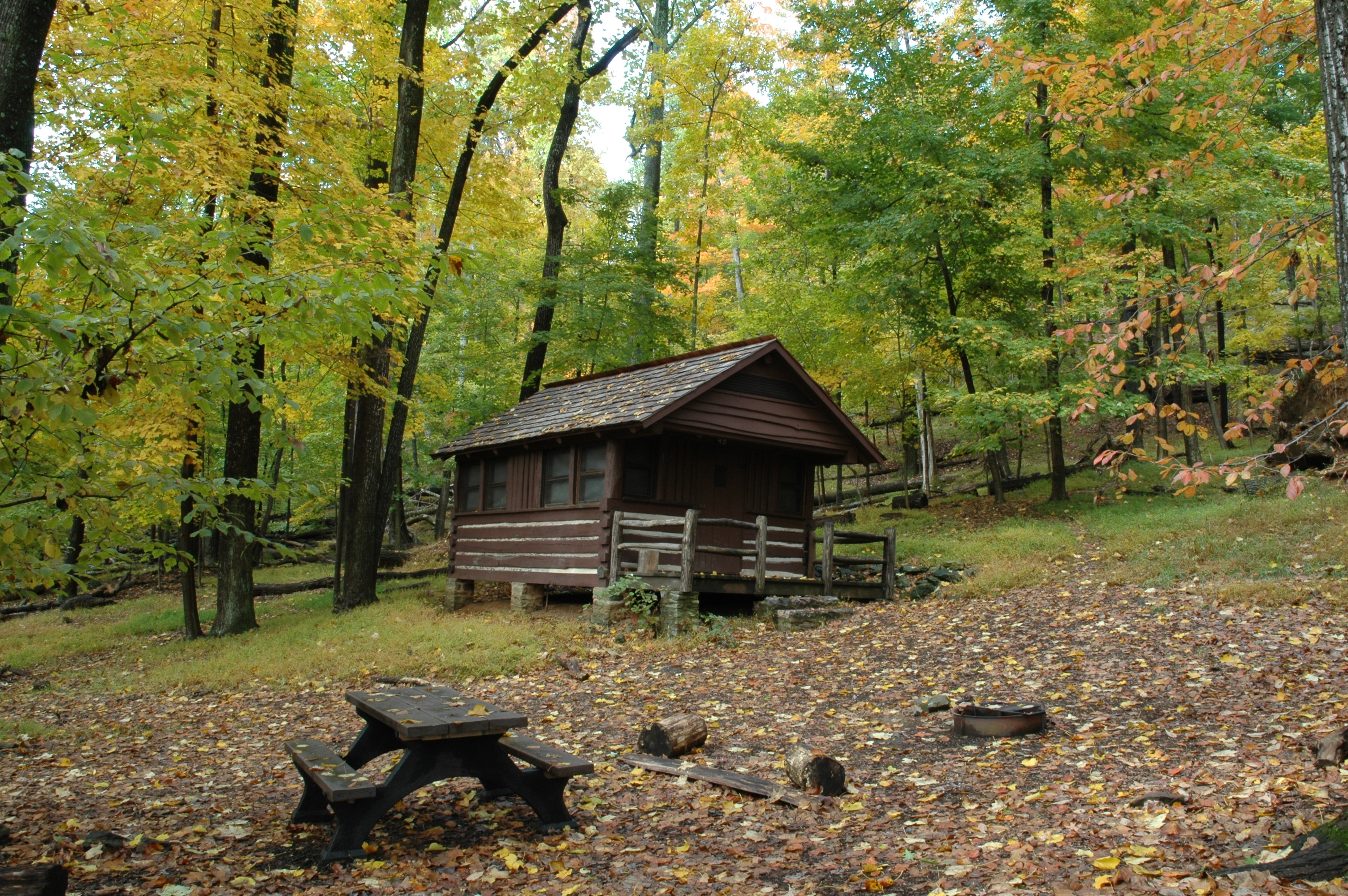 Dogs - Catoctin Mountain Park - GoodDogTrips