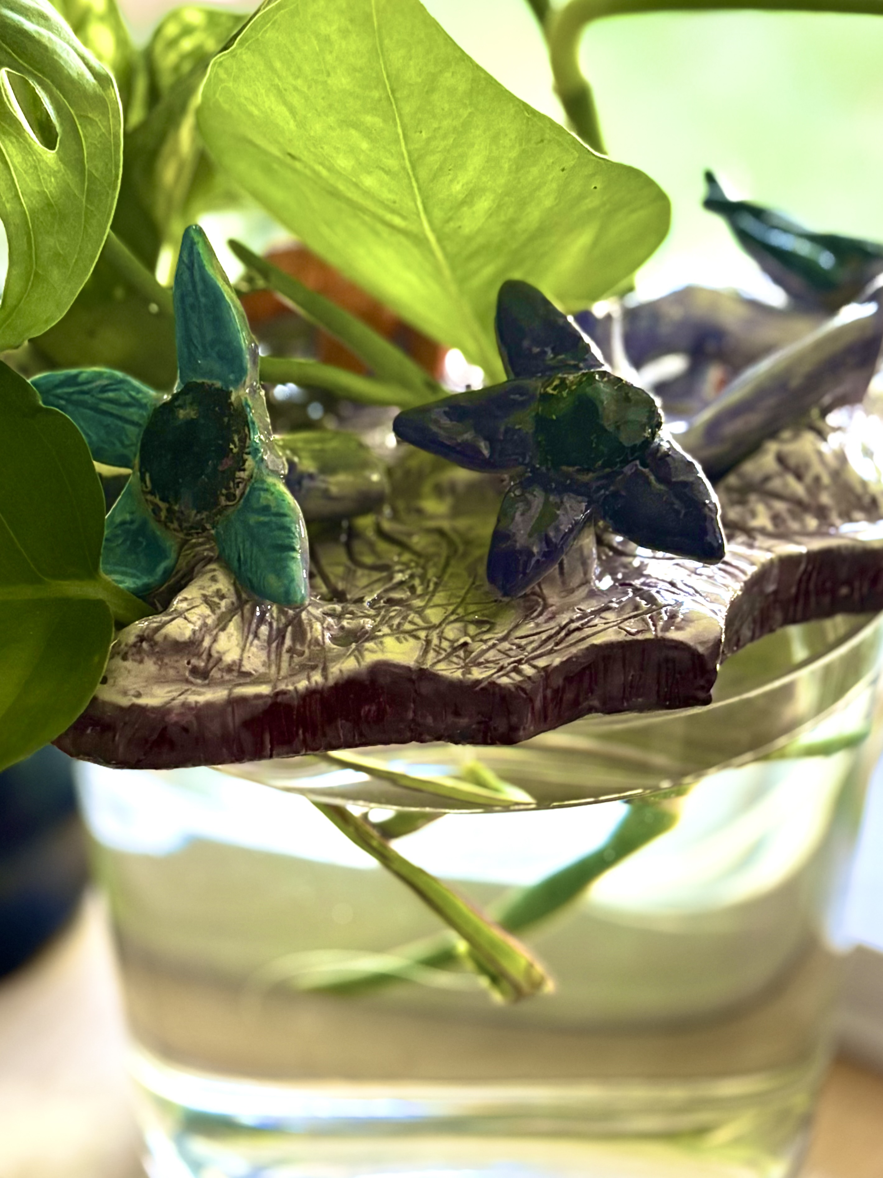 Ceramic Workshop | Pottery & Propagations