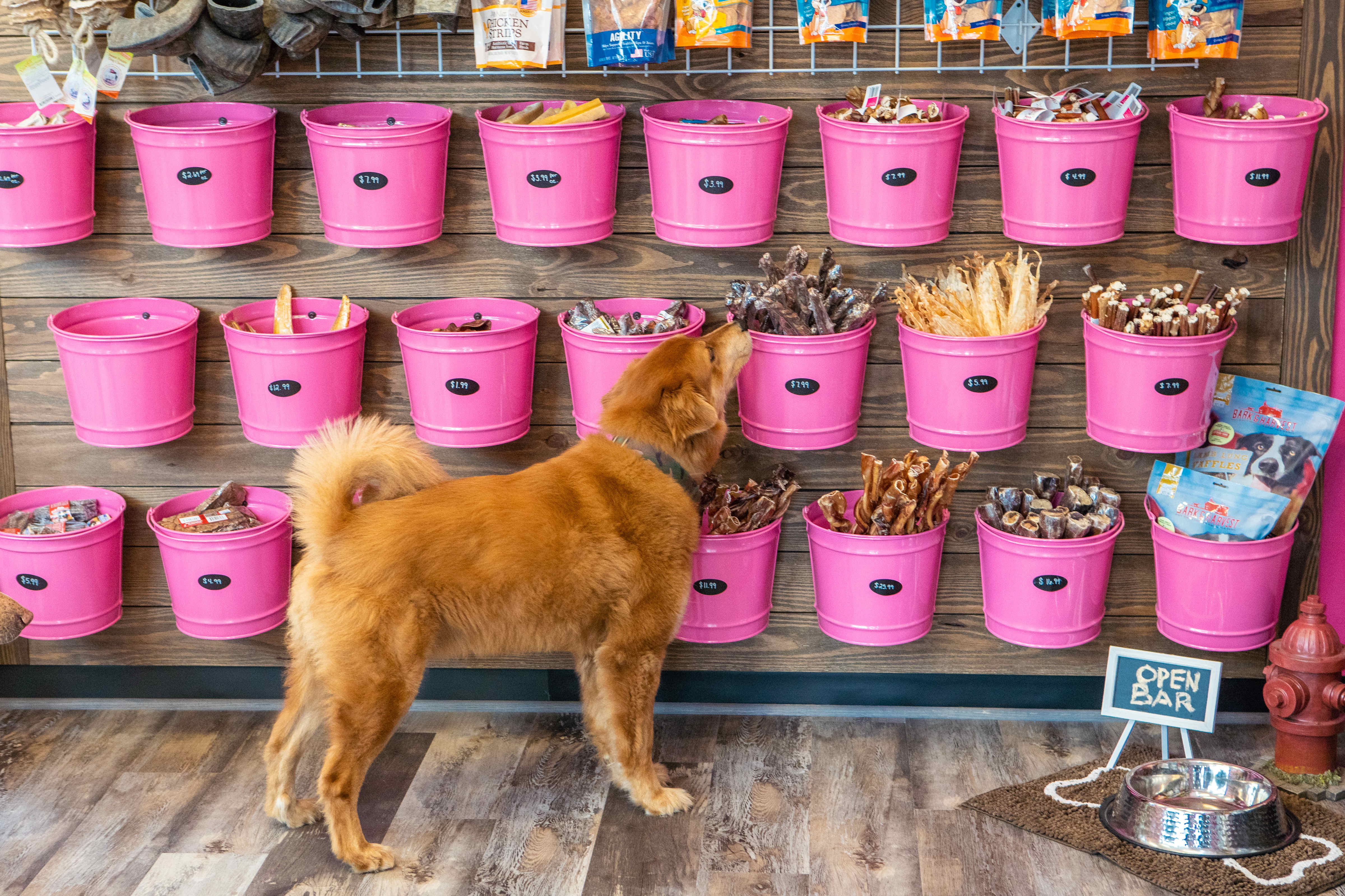 Sports  Woof Baked Goods