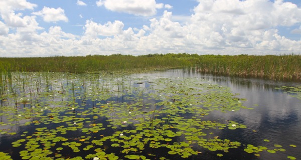 Sawgrass Recreation Park in Weston