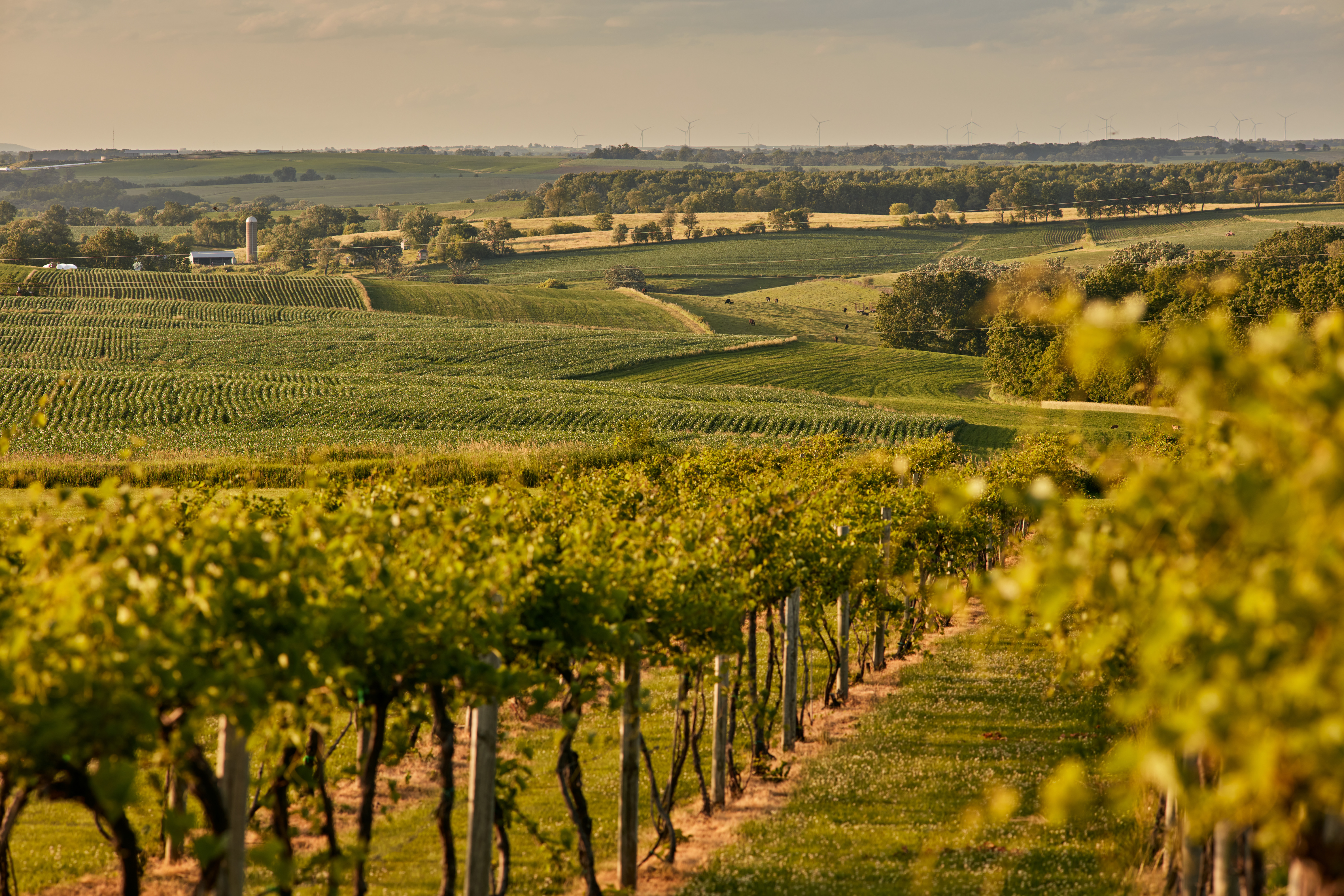 Galena Cellars Vineyard \u0026 Winery in Galena, IL | Galena Country, image size:4743x3162