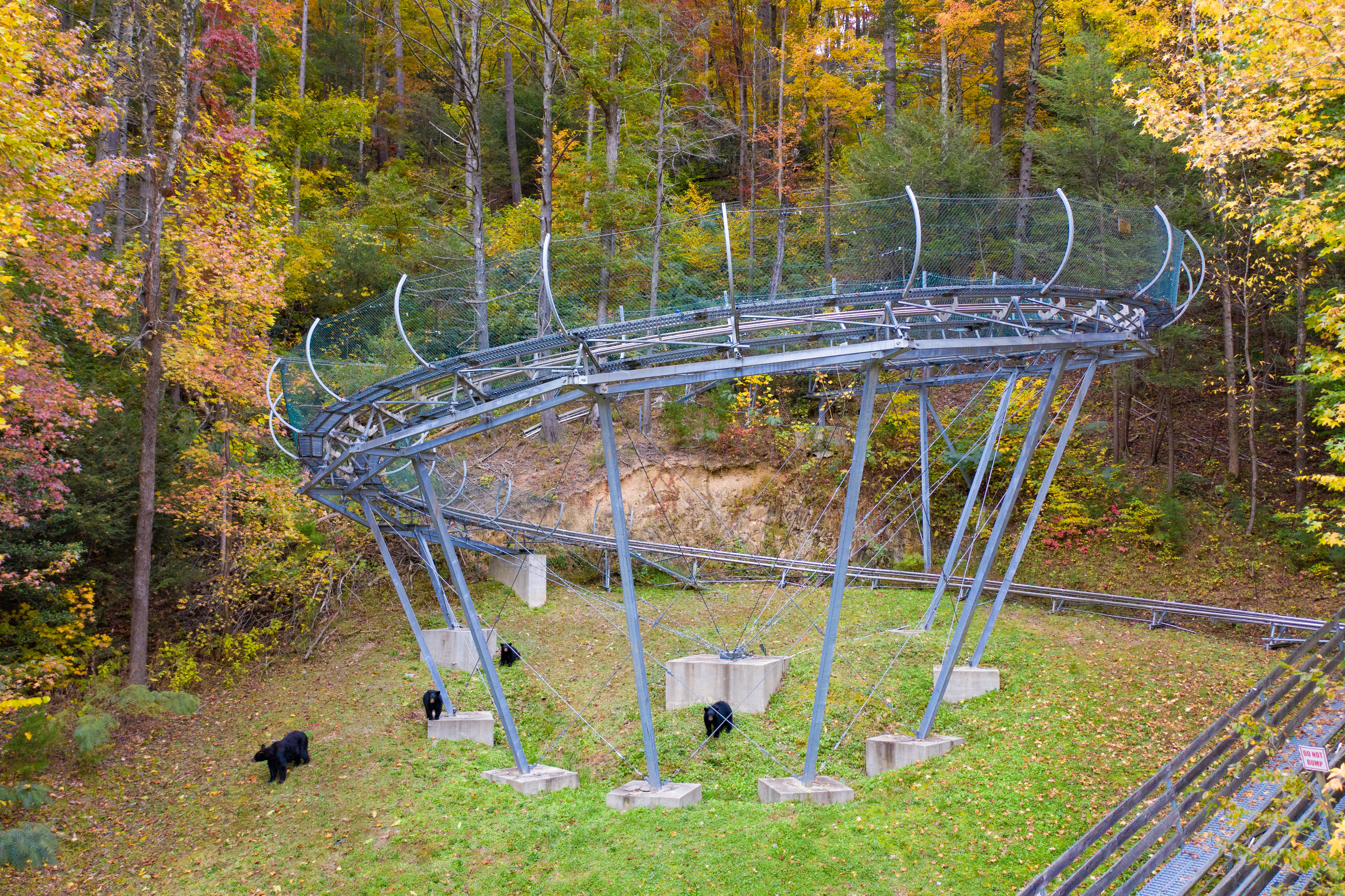 Moonshine Mountain Coaster