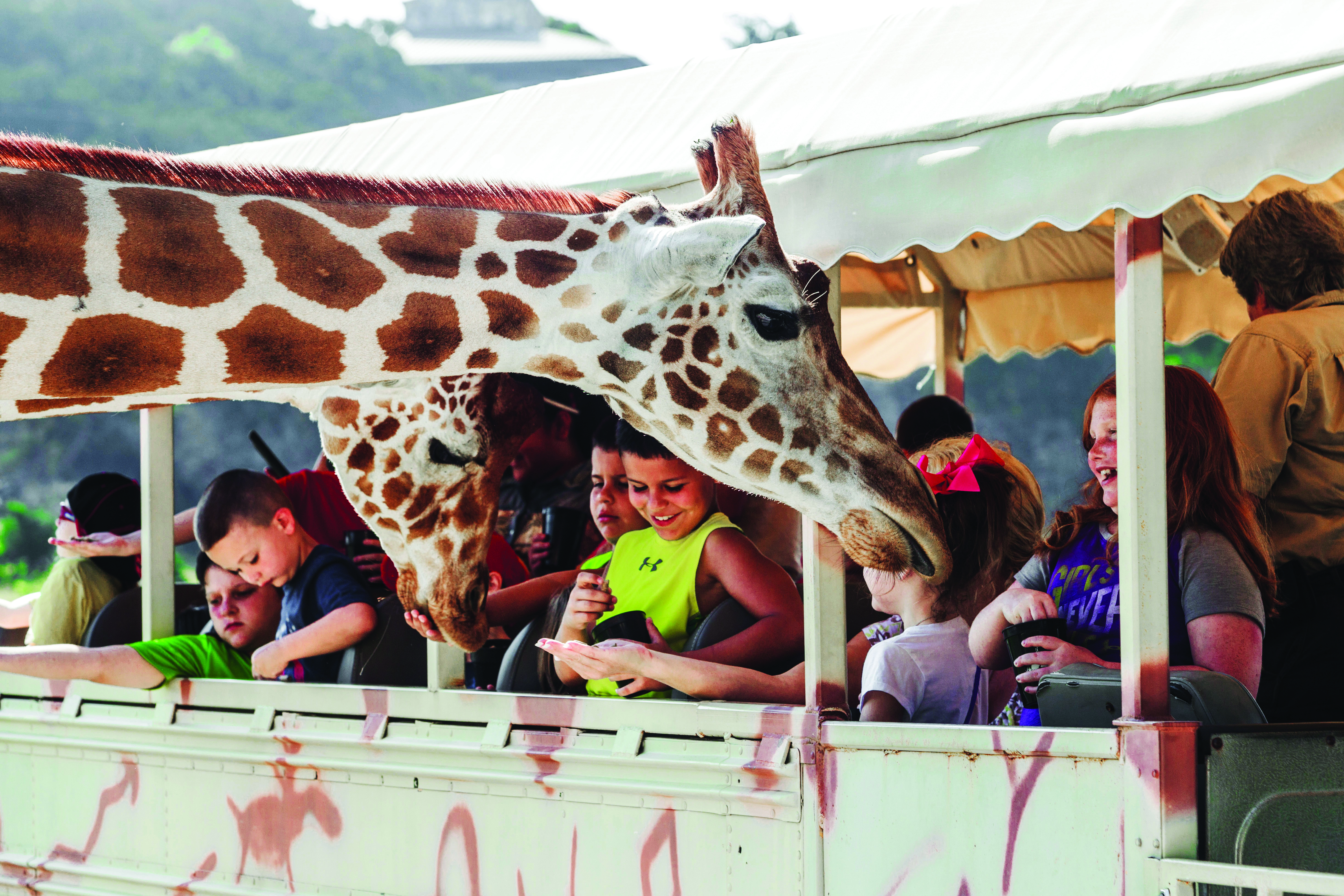 Fossil rim 2024 discount