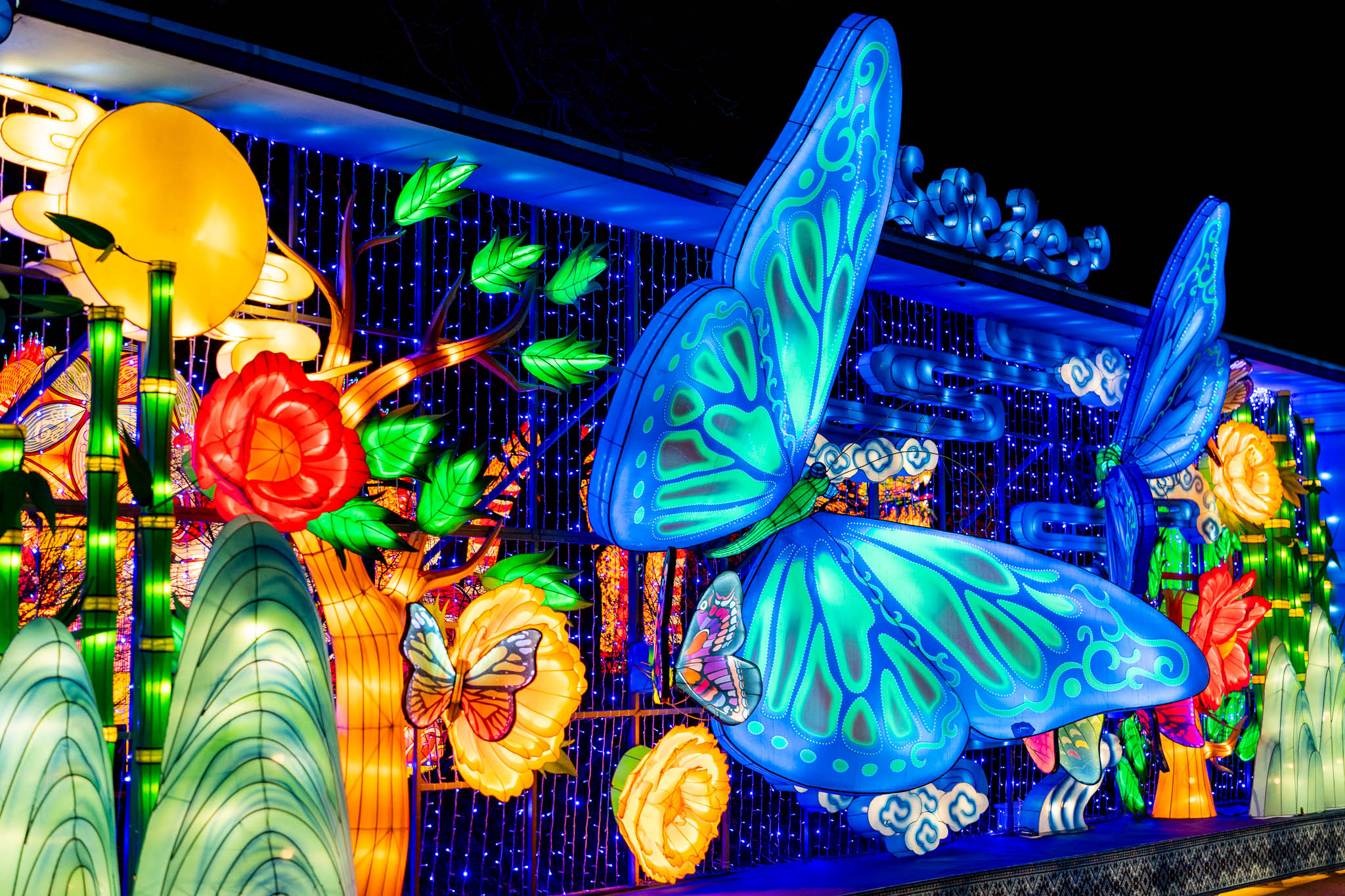 The Grand Rapids Lantern Festival - Grand Rapids MI, 49504