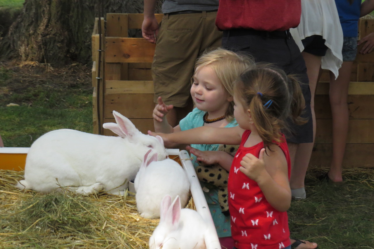 Critter Barn Attractions In Zeeland Mi