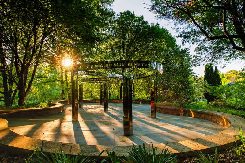 wood-memorial-grove-
