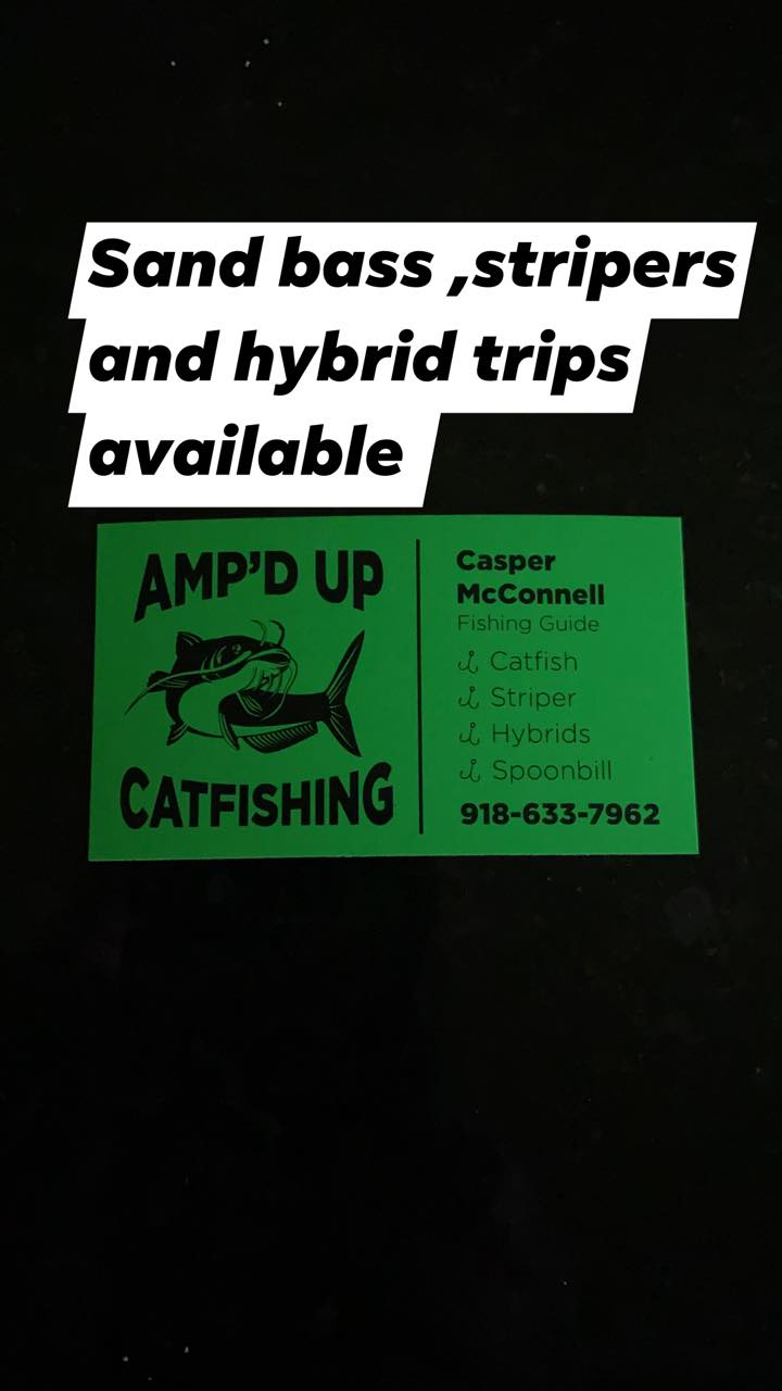 Amped Up Angling 