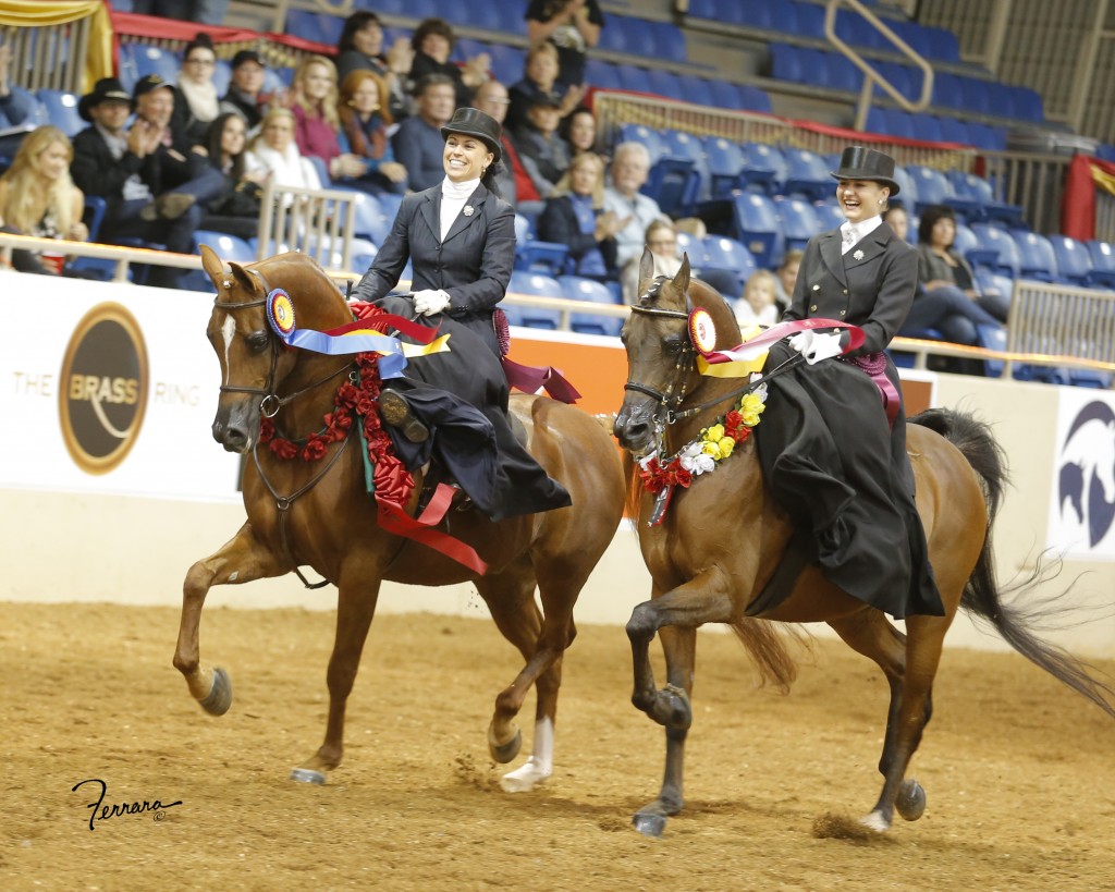 2023 U.S. National Arabian & Half-Arabian Horse Show Program by