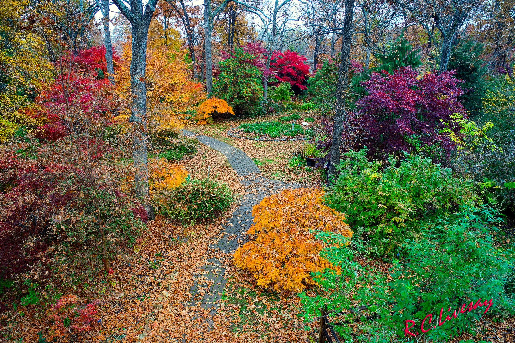 Lendonwood Gardens Grove Oklahoma: Explore Nature's Beauty