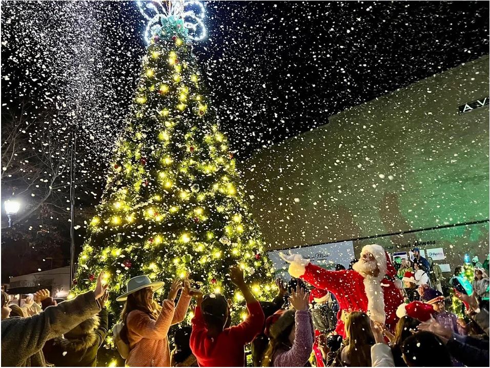 Sun Tree Inn Christmas Events, Lights & Parades 2026 in Fountain Inn, SC | Santa ...
