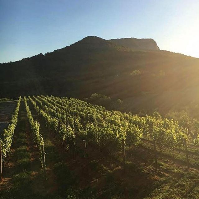 Victoria Valley Vineyards at Table Rock
