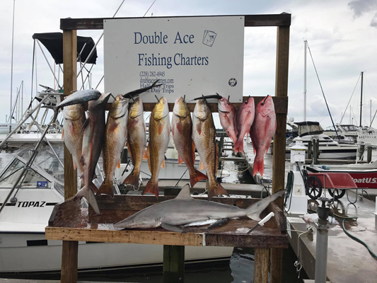 Ace Fishing Charters