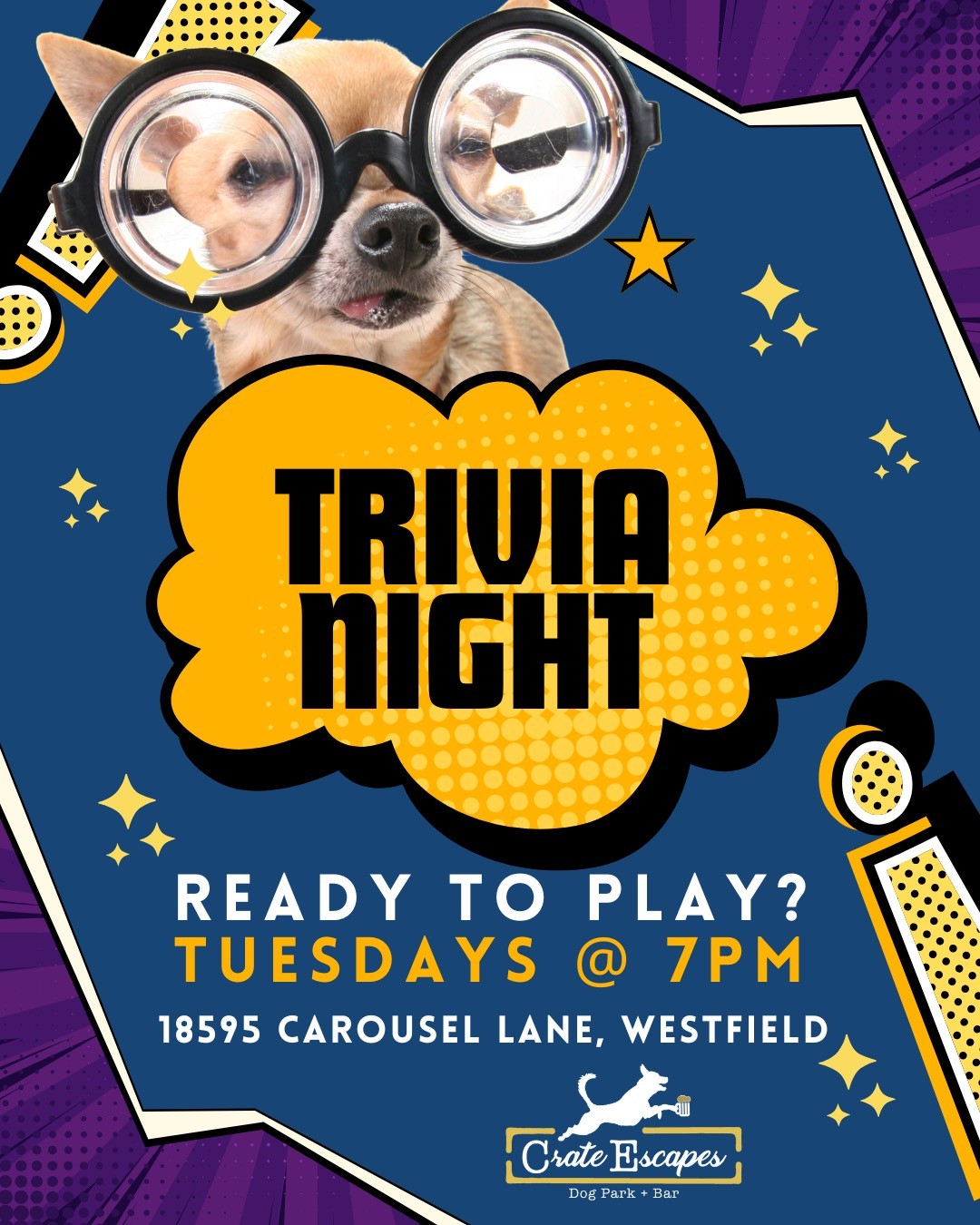 Dog Park: Trivia Night