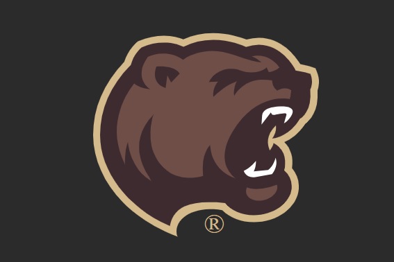 Providence Bruins vs. Hershey Bears