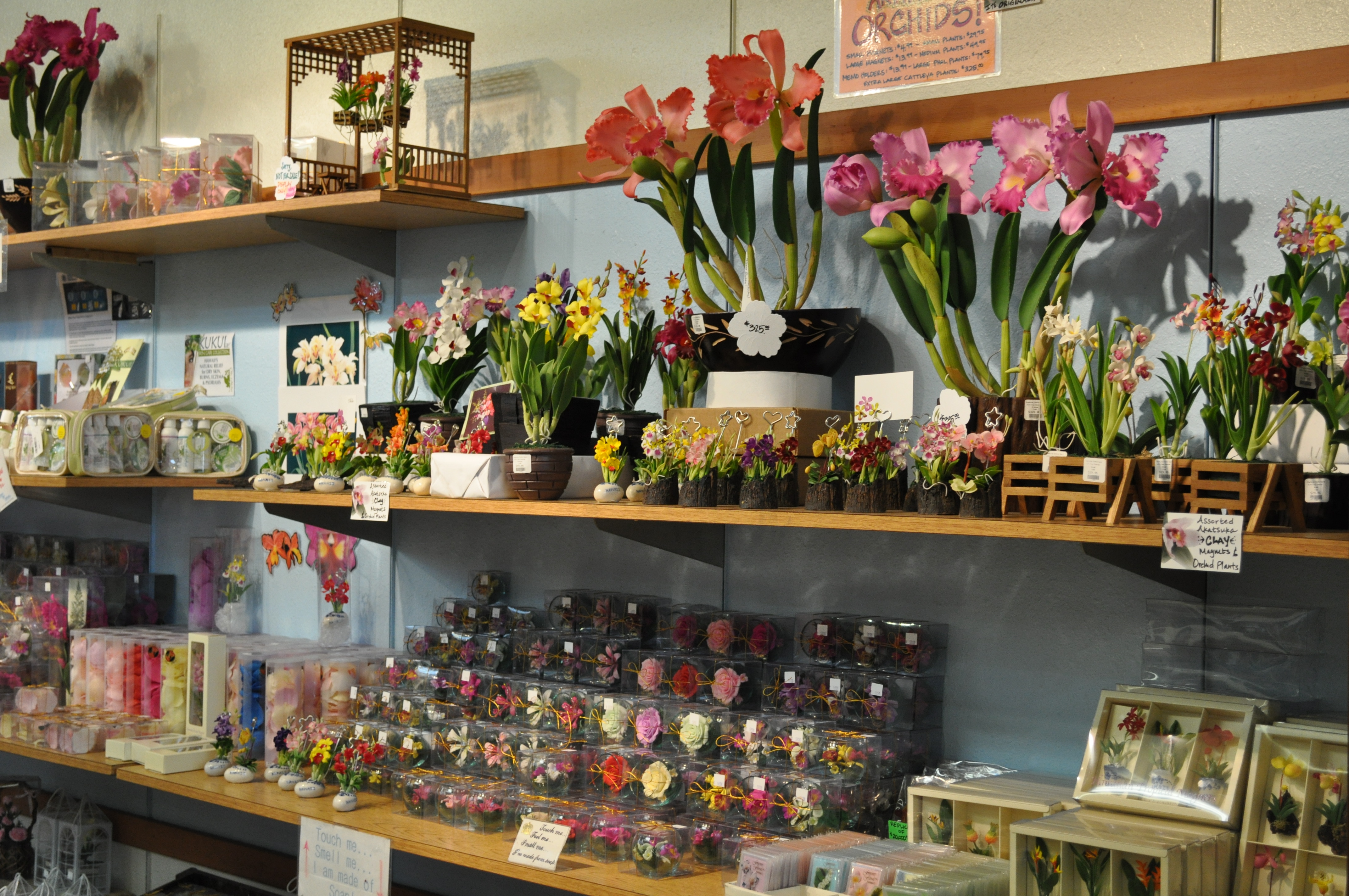 Akatsuka Orchid Gardens